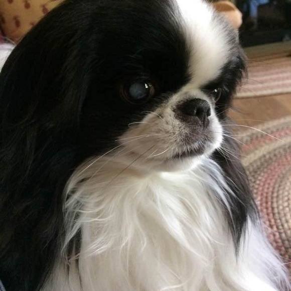 Meet your Posher, Nancy - Picture 1 of 1